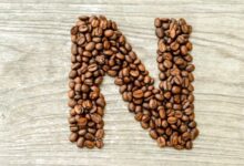 positive-words-that-start-with-n