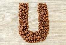 positive-words-that-start-with-u