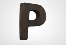 adjectives-that-start-with-p