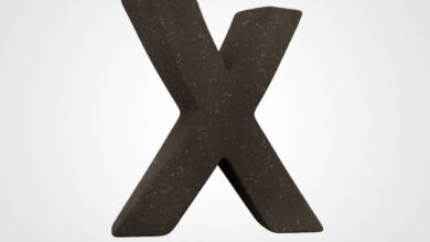 adjectives-that-start-with-x