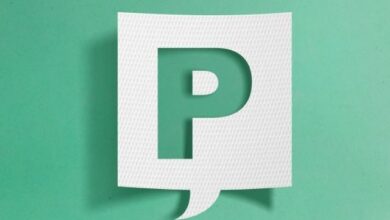 verbs-that-start-with-p