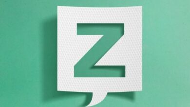 verbs-that-start-with-z